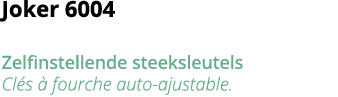 Joker 6004 Zelfinstellende steeksleutels Cl s   fourche auto-ajustable 