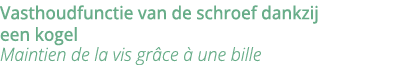Vasthoudfunctie van de schroef dankzij een kogel Maintien de la vis gr ce   une bille