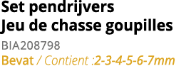 Set pendrijvers Jeu de chasse goupilles BIA208798 Bevat   Contient :2-3-4-5-6-7mm