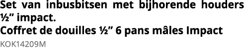 Set van inbusbitsen met bijhorende houders    impact  Coffret de douilles    6 pans m les Impact KOK14209M