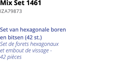 Mix Set 1461 IZA79873 Set van hexagonale boren en bitsen (42 st ) Set de forets hexagonaux et embout de vissage - 42    