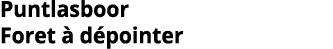 Puntlasboor Foret   d pointer