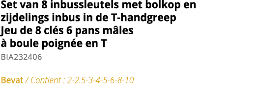 Set van 8 inbussleutels met bolkop en zijdelings inbus in de T-handgreep Jeu de 8 cl s 6 pans m les   boule poign e e   